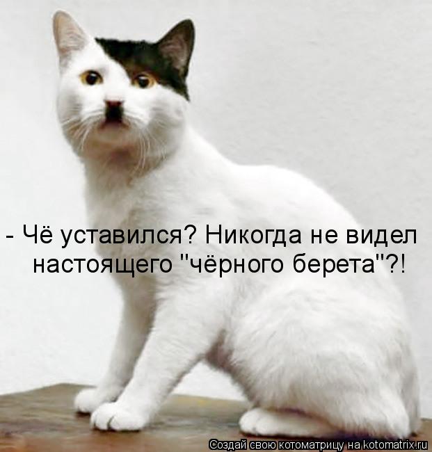 Котоматрица: - Чё уставился? Никогда не видел настоящего "чёрного берета"?!
