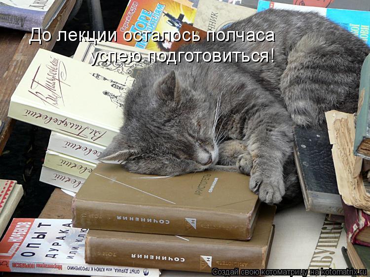 Котоматрица: До лекции осталось полчаса успею подготовиться!