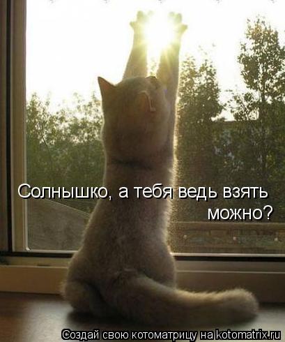 Котоматрица: Солнышко, а тебя ведь взять можно?