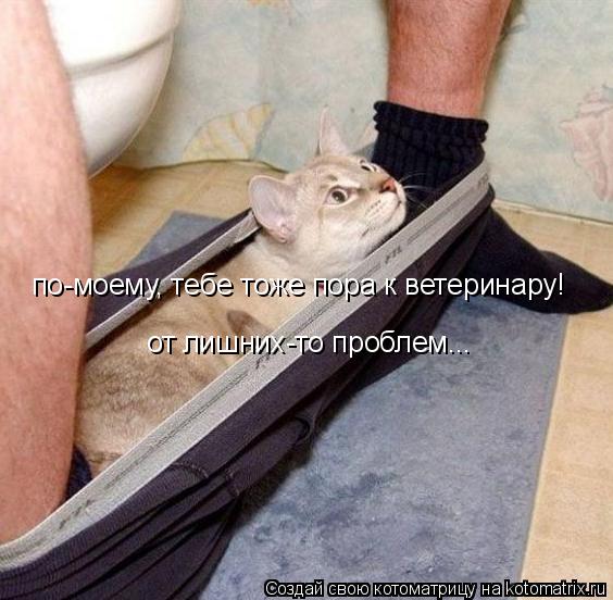 Котоматрица: по-моему, тебе тоже пора к ветеринару! от лишних-то проблем...