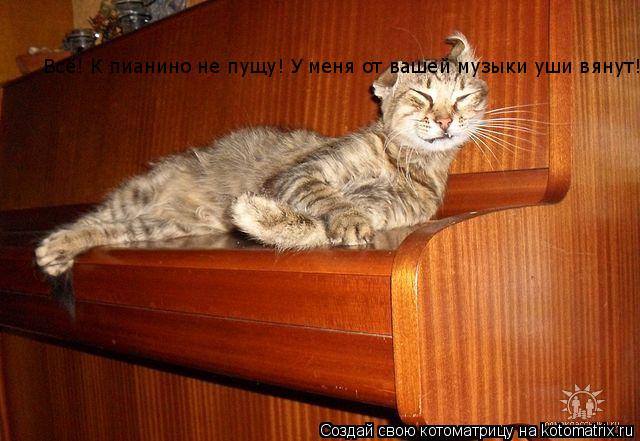 Котоматрица: Всё! К пианино не пущу! У меня от вашей музыки уши вянут!