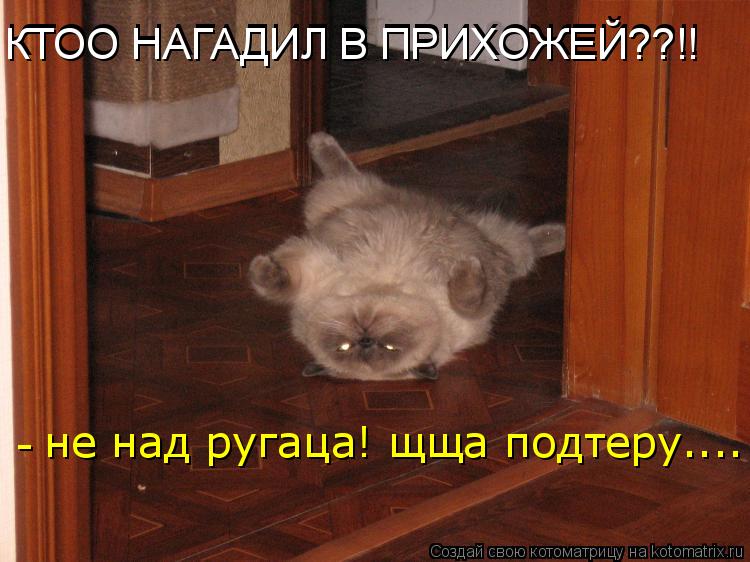 Котоматрица: КТОО НАГАДИЛ В ПРИХОЖЕЙ??!! КТОО НАГАДИЛ В ПРИХОЖЕЙ??!! не над ругаца! щща подтеру.... -