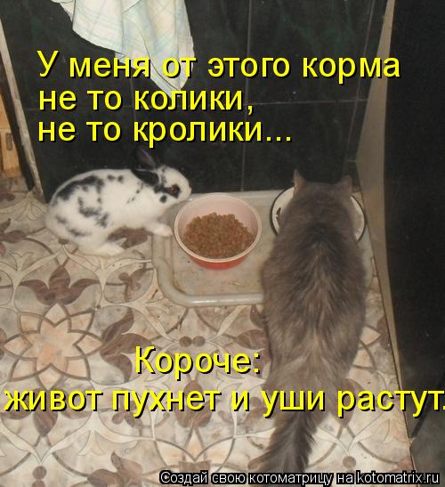 У меня от этого корма не то колики, не то кролики... Короче: живот пухнет и уши растут.... Котоматрица: У меня от этого корма не то колики, не то кролики... Короче: живот пухнет и уши растут.