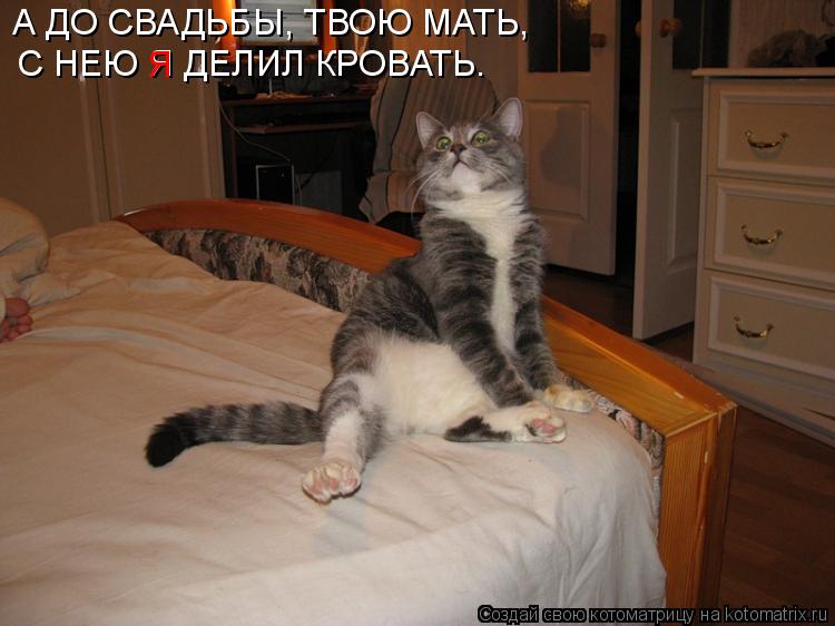 Котоматрица: А ДО СВАДЬБЫ, ТВОЮ МАТЬ, С НЕЮ Я ДЕЛИЛ КРОВАТЬ. Я