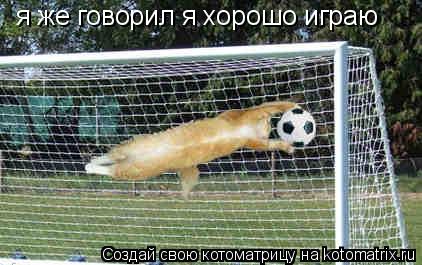 Котоматрица: я же говорил я хорошо играю я же говорил я хорошо играю