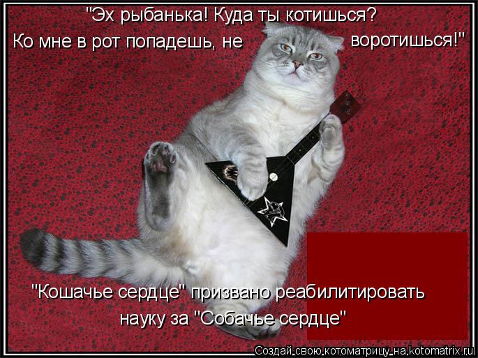 "Эх рыбанька! Куда ты котишься? Ко мне в рот попадешь, не воротишься!" "Кошачье сердце" призвано реа... Котоматрица: "Эх рыбанька! Куда ты котишься? Ко мне в рот попадешь, не воротишься!" "Кошачье сердце" призвано реабилитировать науку за "Собачье сердце"