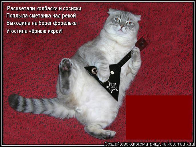Расцветали колбаски и сосиски Поплыла сметанка над рекой Выходила на берег форелька Угостила чёрною и... Котоматрица: Расцветали колбаски и сосиски Поплыла сметанка над рекой Выходила на берег форелька Угостила чёрною икрой!
