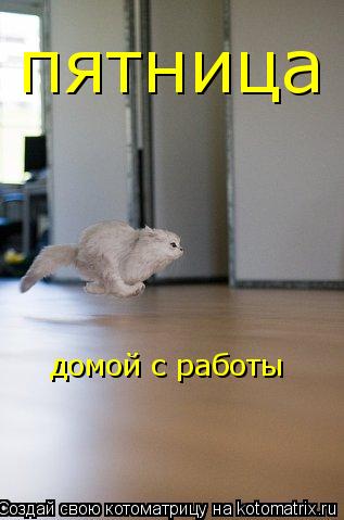 пятница домой с работы... Котоматрица: пятница домой с работы