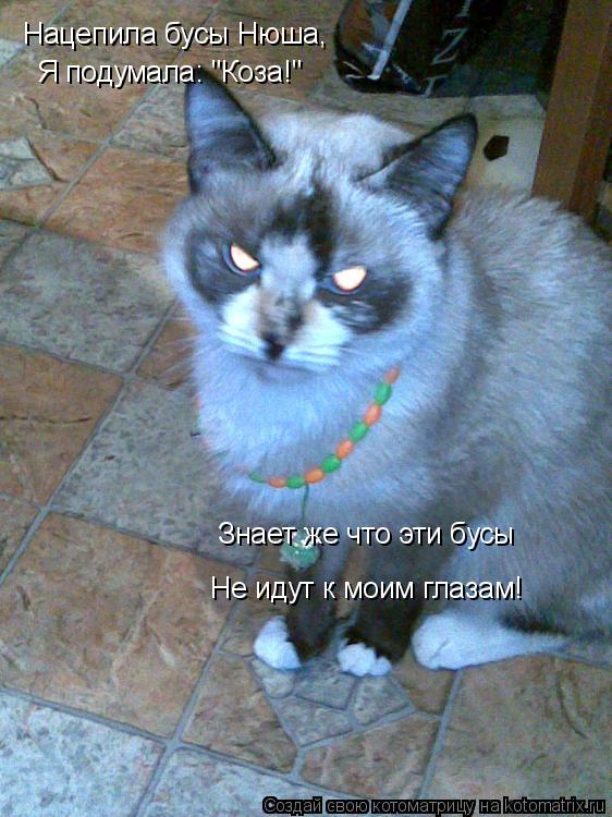 Нацепила бусы Нюша, Я подумала: "Коза!" Знает же что эти бусы Не идут к моим глазам!... Котоматрица: Нацепила бусы Нюша, Я подумала: "Коза!" Знает же что эти бусы Не идут к моим глазам!