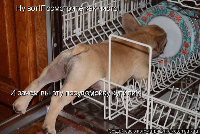 Ну вот!Посмотрите как чисто! И зачем вы эту посудомойку купили?!... Котоматрица: Ну вот!Посмотрите как чисто! И зачем вы эту посудомойку купили?!