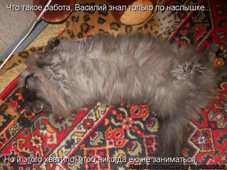 Что такое работа, Василий знал только по наслышке... Но и этого хватило, чтоб никогда ею не заниматьс... Котоматрица: Что такое работа, Василий знал только по наслышке... Но и этого хватило, чтоб никогда ею не заниматься...