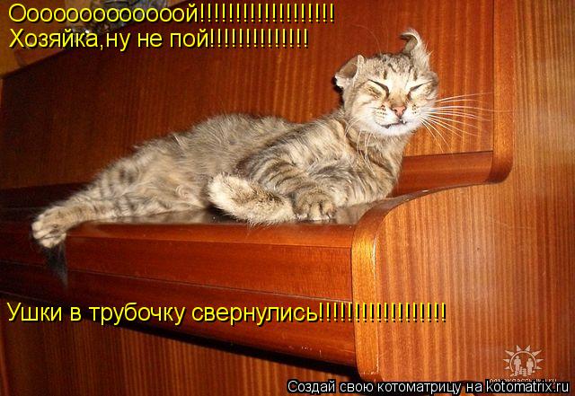 Ооооооооооооой!!!!!!!!!!!!!!!!!!! Хозяйка,ну не пой!!!!!!!!!!!!!! Ушки в трубочку свернулись!!!!!!!!!... Котоматрица: Ооооооооооооой!!!!!!!!!!!!!!!!!!! Хозяйка,ну не пой!!!!!!!!!!!!!! Ушки в трубочку свернулись!!!!!!!!!!!!!!!!!!