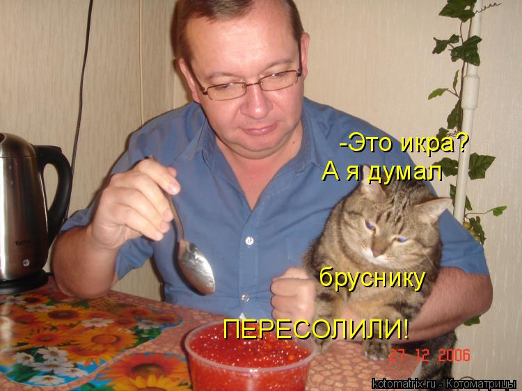 -Это икра? А я думал бруснику ПЕРЕСОЛИЛИ!... Котоматрица: -Это икра? А я думал бруснику ПЕРЕСОЛИЛИ!