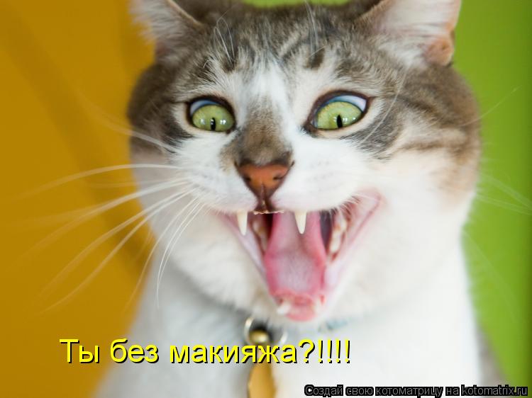 Ты без макияжа?!!!!... Котоматрица: Ты без макияжа?!!!!