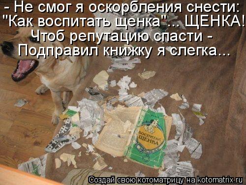 - Не смог я оскорбления снести: "Как воспитать щенка"... ЩЕНКА! Чтоб репутацию спасти - Подправил кн... Котоматрица: - Не смог я оскорбления снести: "Как воспитать щенка"... ЩЕНКА! Чтоб репутацию спасти - Подправил книжку я слегка...