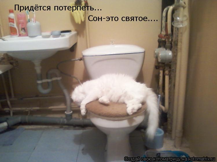 Придётся потерпеть... Сон-это святое....... Котоматрица: Придётся потерпеть... Сон-это святое....