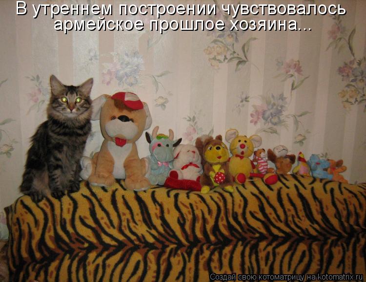 В утреннем построении чувствовалось армейское прошлое хозяина...... Котоматрица: В утреннем построении чувствовалось армейское прошлое хозяина...
