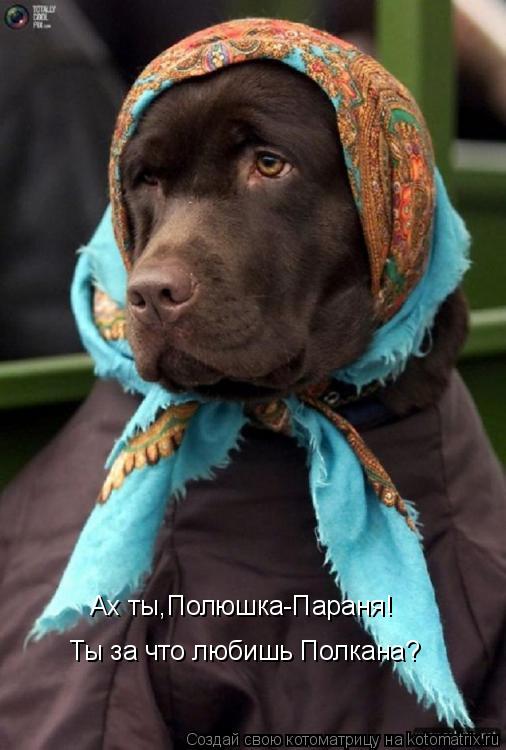 Ах ты,Полюшка-Параня! Ты за что любишь Полкана?... Котоматрица: Ах ты,Полюшка-Параня! Ты за что любишь Полкана?