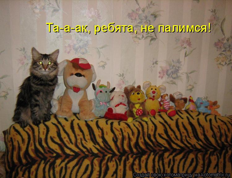 Котоматрица: Та-а-ак, ребята, не палимся!