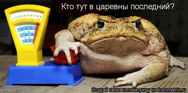 Котоматрица: Кто тут в царевны последний?