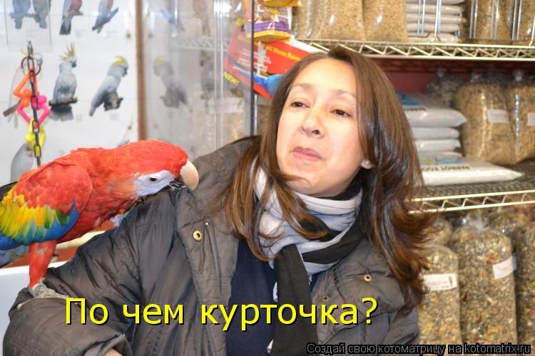 Котоматрица: По чем курточка?