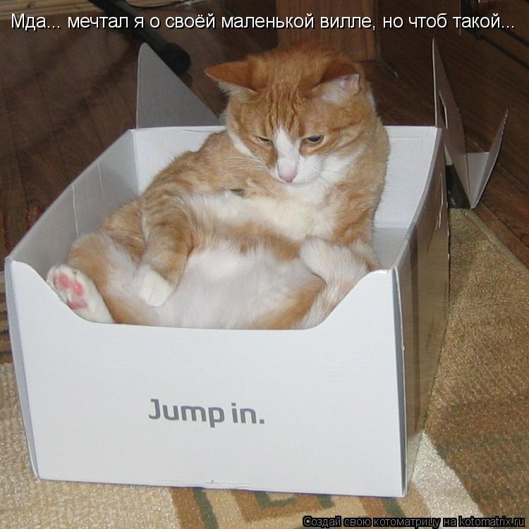 Котоматрица: Мда... мечтал я о своёй маленькой вилле, но чтоб такой...