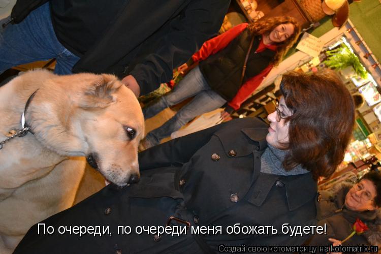 Котоматрица: По очереди, по очереди меня обожать будете!