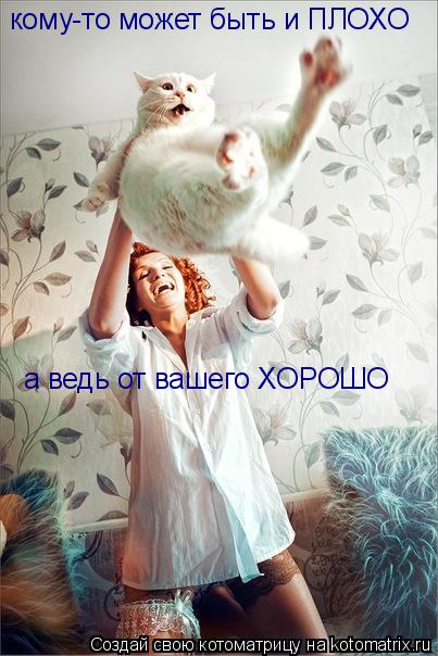 Котоматрица: а ведь от вашего ХОРОШО кому-то может быть и ПЛОХО