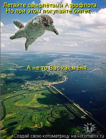 Котоматрица: Летайте самолётами Аэрофлота. Но при этом покупайте билет... А не то Вас как меня...