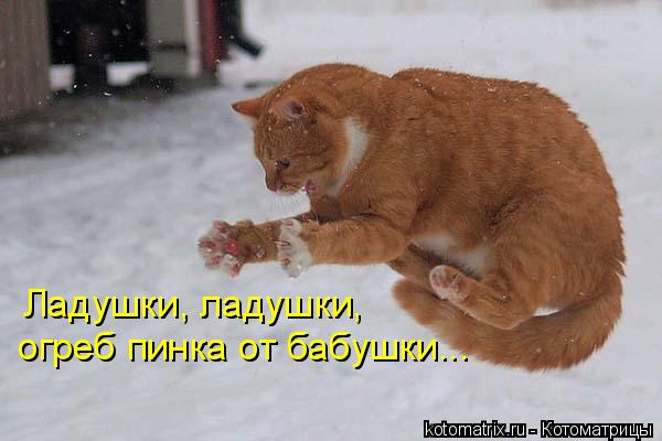 Ладушки, ладушки, огреб пинка от бабушки...... Котоматрица: Ладушки, ладушки, огреб пинка от бабушки...