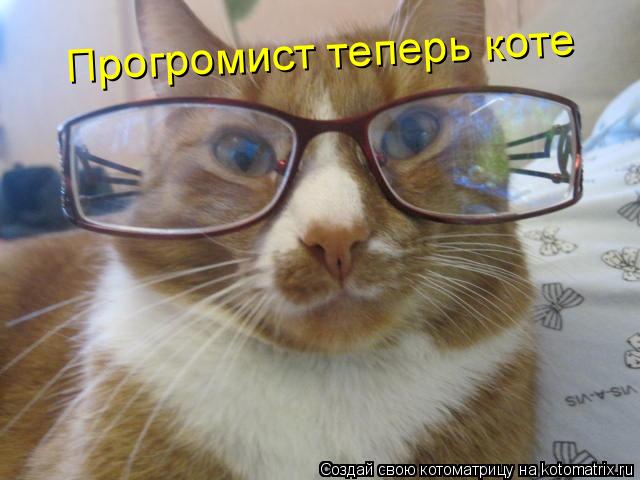 Прогромист теперь коте... Котоматрица: Прогромист теперь коте