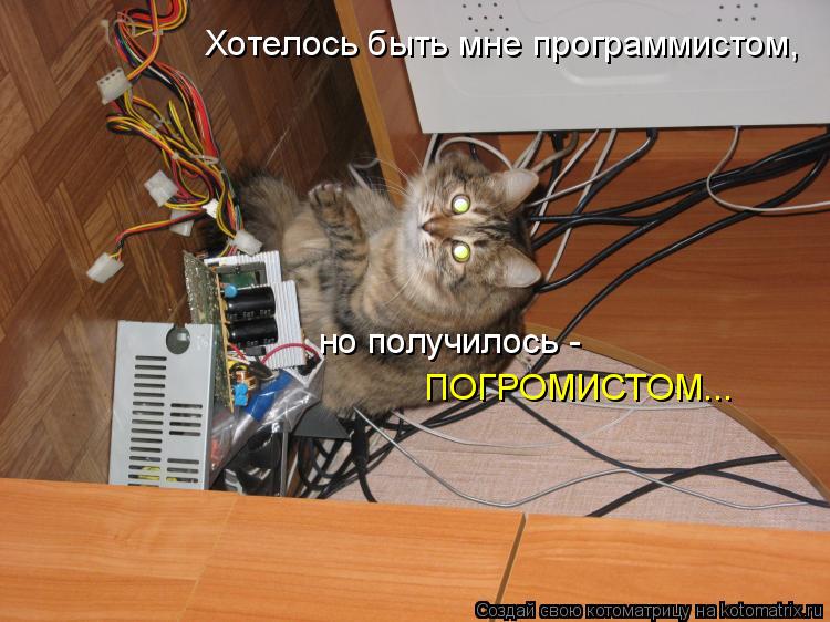 Хотелось быть мне программистом, но получилось - ПОГРОМИСТОМ...... Котоматрица: Хотелось быть мне программистом, но получилось - ПОГРОМИСТОМ...