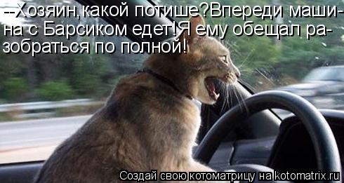 --Хозяин,какой потише?Впереди маши- на с Барсиком едет!Я ему обещал ра- зобраться по полной!... Котоматрица: --Хозяин,какой потише?Впереди маши- на с Барсиком едет!Я ему обещал ра- зобраться по полной!
