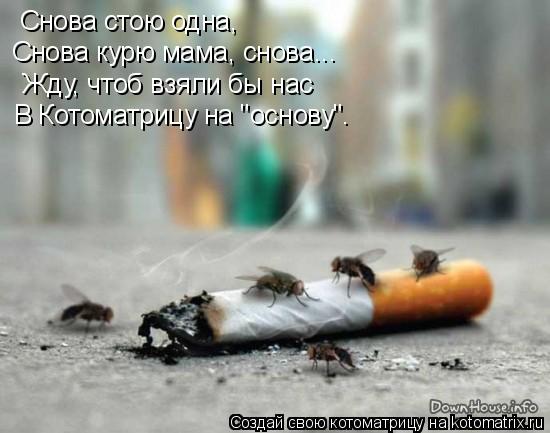 Снова стою одна, Снова курю мама, снова... Жду, чтоб взяли бы нас В Котоматрицу на "основу".... Котоматрица: Снова стою одна, Снова курю мама, снова... Жду, чтоб взяли бы нас В Котоматрицу на "основу".