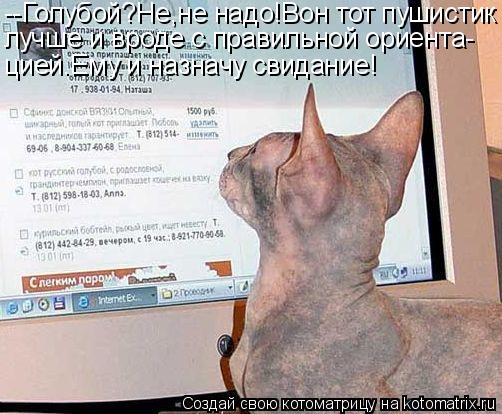 --Голубой?Не,не надо!Вон тот пушистик лучше и вроде с правильной ориента- цией.Ему и назначу свидание... Котоматрица: --Голубой?Не,не надо!Вон тот пушистик лучше и вроде с правильной ориента- цией.Ему и назначу свидание!