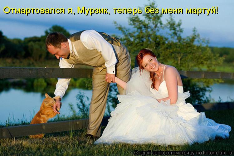 Отмартовался я, Мурзик, теперь без меня мартуй!... Котоматрица: Отмартовался я, Мурзик, теперь без меня мартуй!