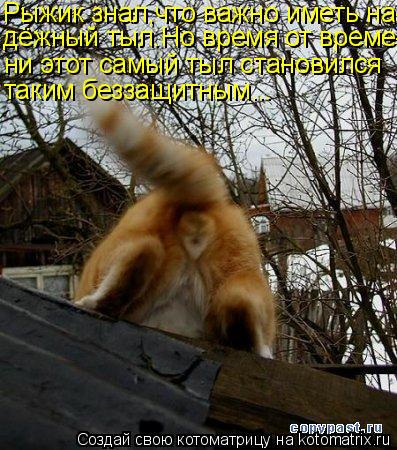 Рыжик знал,что важно иметь на- дёжный тыл.Но время от време- ни этот самый тыл становился таким безза... Котоматрица: Рыжик знал,что важно иметь на- дёжный тыл.Но время от време- ни этот самый тыл становился таким беззащитным...