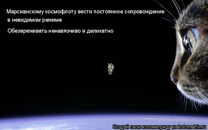 Марсианскому космофлоту вести постоянное сопровождение в невидимом режиме Обезвреживать ненавязчиво и... Котоматрица: Марсианскому космофлоту вести постоянное сопровождение в невидимом режиме Обезвреживать ненавязчиво и деликатно