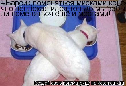 --Барсик,поменяться мисками,коне- чно,неплохая идея,только мы забы- ли поменяться ещё и местами!... Котоматрица: --Барсик,поменяться мисками,коне- чно,неплохая идея,только мы забы- ли поменяться ещё и местами!
