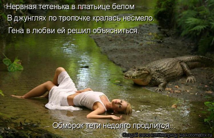 Нервная тетенька в платьице белом В джунглях по тропочке кралась несмело. Гена в любви ей решил объя... Котоматрица: Нервная тетенька в платьице белом В джунглях по тропочке кралась несмело. Гена в любви ей решил объясниться. Обморок тети недолго продлитс