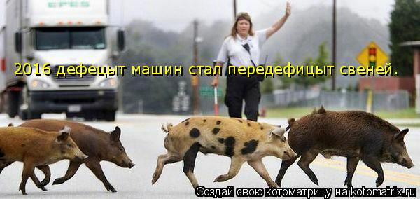 2016 дефецыт машин стал передефицыт свеней.... Котоматрица: 2016 дефецыт машин стал передефицыт свеней.