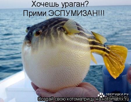 Хочешь ураган? Прими ЭСПУМИЗАН!!!... Котоматрица: Хочешь ураган? Прими ЭСПУМИЗАН!!!
