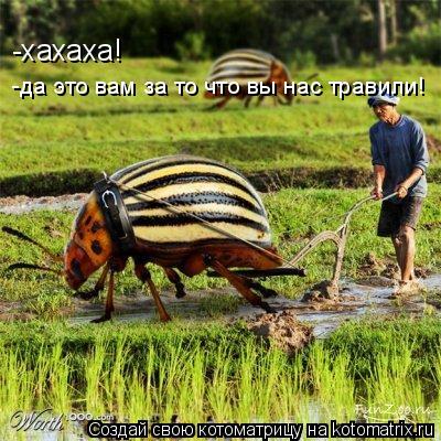-хахаха! -да это вам за то что вы нас травили!... Котоматрица: -хахаха! -да это вам за то что вы нас травили!