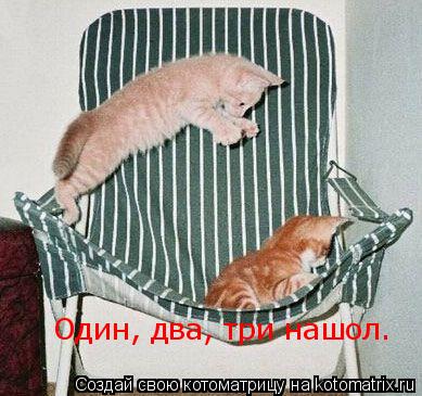 Один, два, три нашол.... Котоматрица: Один, два, три нашол.