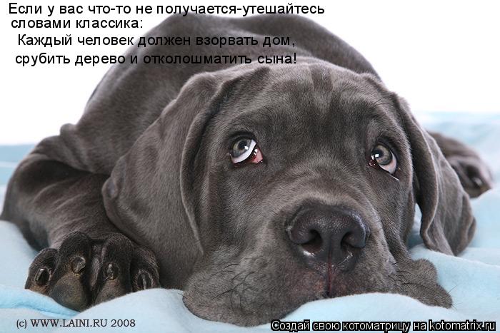 Если у вас что-то не получается-утешайтесь словами классика: Каждый человек должен взорвать дом, сруб... Котоматрица: Если у вас что-то не получается-утешайтесь словами классика: Каждый человек должен взорвать дом, срубить дерево и отколошматить сына!
