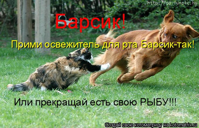 Барсик! Прими освежитель для рта Барсик-так! Или прекращай есть свою РЫБУ!!!... Котоматрица: Барсик! Прими освежитель для рта Барсик-так! Или прекращай есть свою РЫБУ!!!