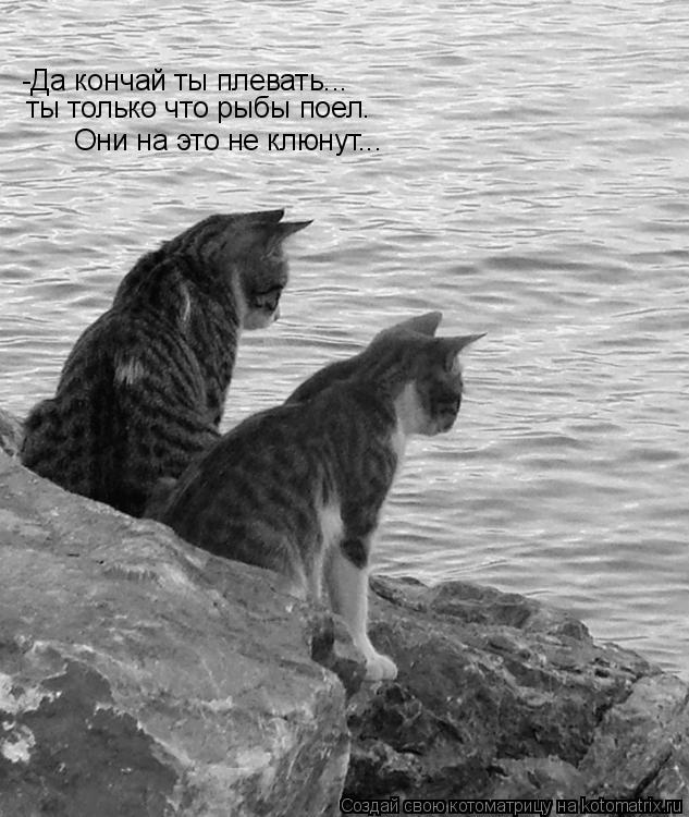 Котоматрица: -Да кончай ты плевать... ты только что рыбы поел. Они на это не клюнут...