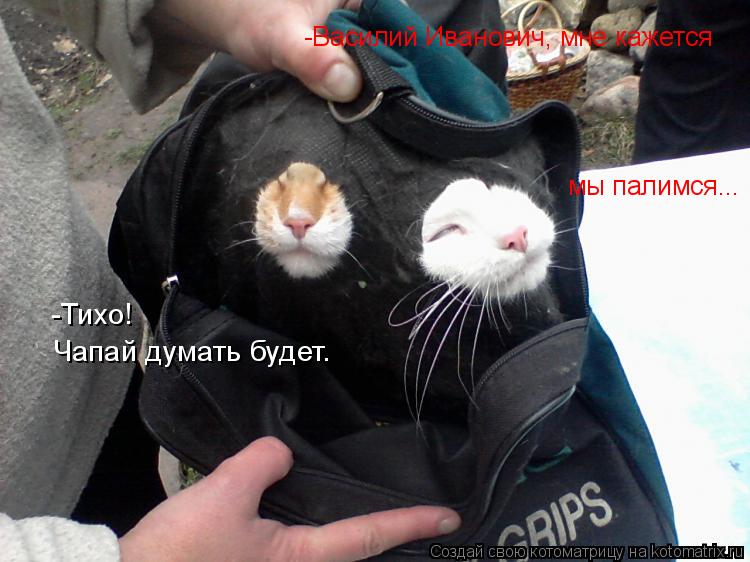Котоматрица: -Василий Иванович, мне кажется мы палимся... -Тихо!  Чапай думать будет.