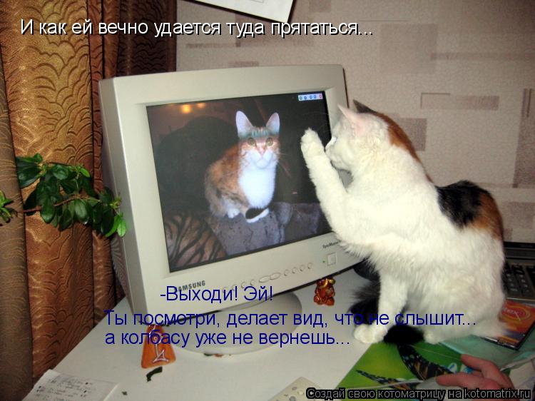 Котоматрица: И как ей вечно удается туда прятаться... -Выходи! Эй! Ты посмотри, делает вид, что не слышит... а колбасу уже не вернешь...