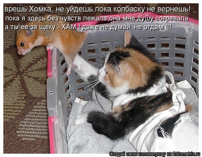 Котоматрица: врешь Хомка, не уйдешь,пока колбаску не вернешь! пока я здесь без чувств лежала,она мне душу согревала а ты ее за щеку - ХАМ ! даже не думай, не 